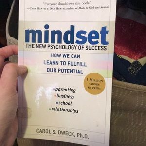 Mindset book